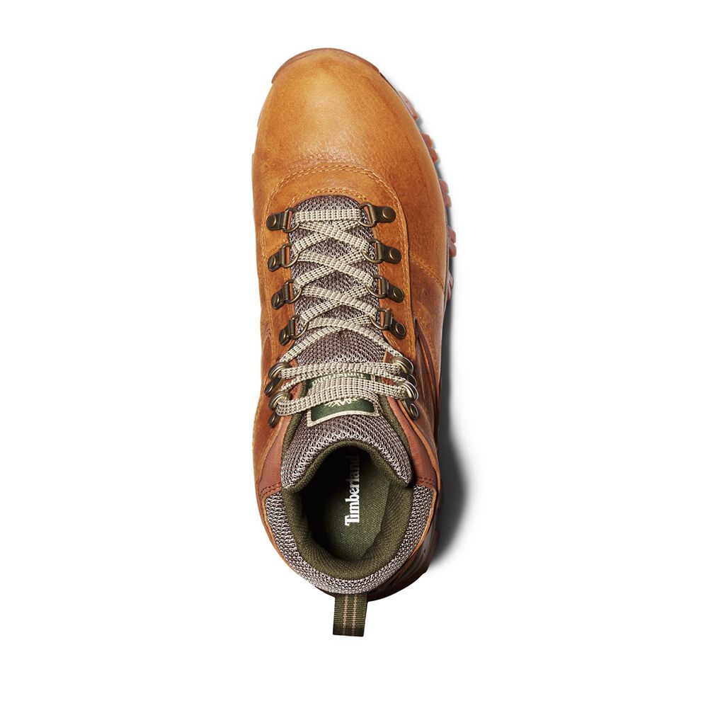 Bocanci De Drumeție Timberland Barbati Maro - Mt. Maddsen Mid Waterproof - Romania - NZLXQS051